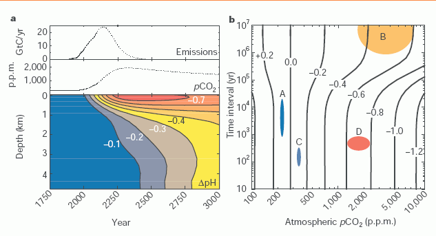 CO 2 : zakwasimy ocean?