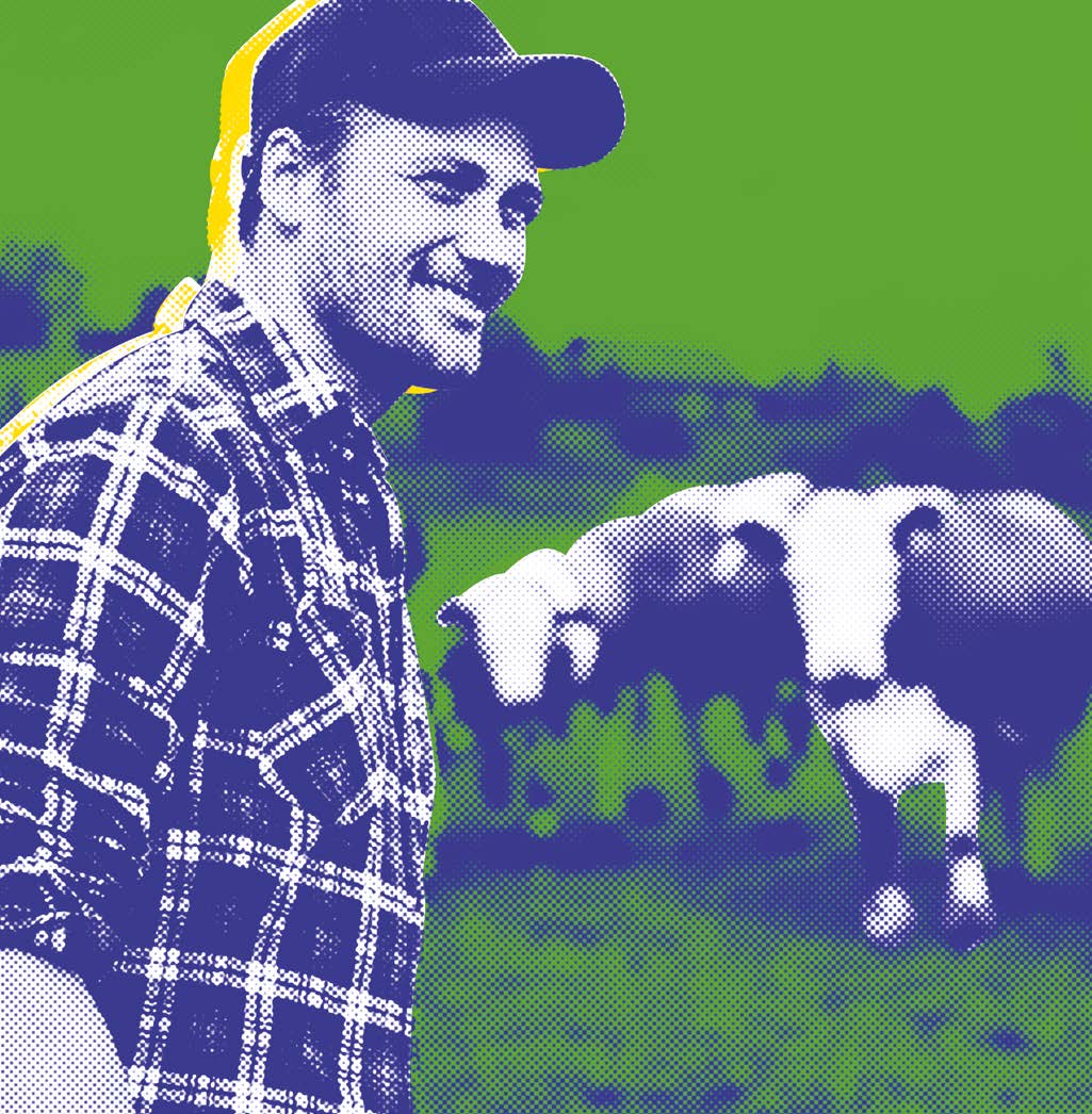 PORADNIK DOBORU ODMIAN 2017 KUKURYDZA RZEPAK LUCERNA