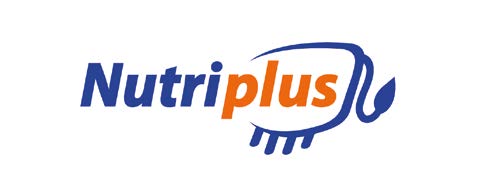 SERWIS NUTRIPLUS ABY ZWIĘKSZYĆ RENTOWNOŚĆ WASZEJ HODOWLI BYDŁA Serwis Nutriplus to doradztwo przy doborze najlepszych odmian na kiszonkę oraz szereg narzędzi, które wciąż udoskonalamy i które