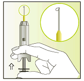 3. Przytrzymać ampułkostrzykawkę z szarą zakrętką skierowaną ku górze. Postukać lekko palcem, w celu uwolnienia pęcherzyków powietrza ku górze. 4. Trzymać ampułkostrzykawkę skierowaną ku górze.