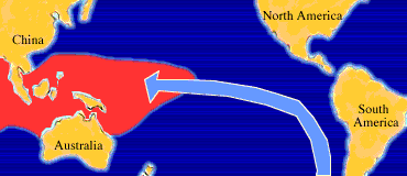 Normalne warunki Warunki El Niño Information