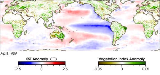 El Niño La Niña Courtesy of David Adamec, NASA Goddard Space Flight Center