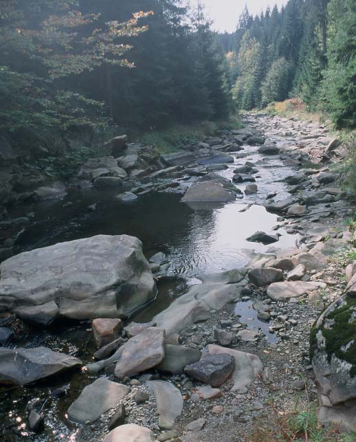 Nr 45 JESIEÑ 2006 BIULETYN CENTRUM DZIEDZICTWA PRZYRODY GÓRNEGO ŒL SKA CENA 2 z³ Nr indeksu