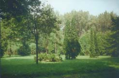 ŒWIAT ROŒLIN SPACERKIEM PO BYTOMSKICH PARKACH (2) Daria Piontek (Bytom) 12 Starym rodowodem legitymuje siê Park Fazaniec po³o ony na pograniczu dzielnic Szombierki i Bobrek.
