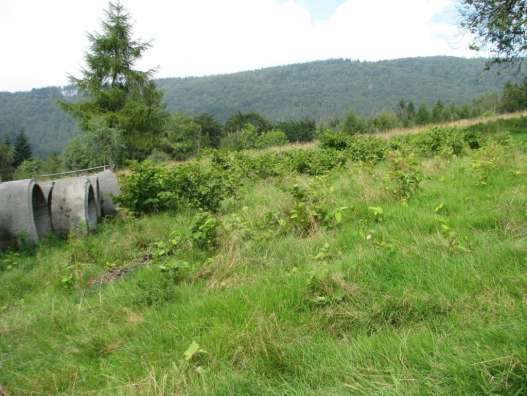 Fot. Widok ogólny polany Złączana (Zbigniew Wilczek, 6.09.2010 rok) Fot.