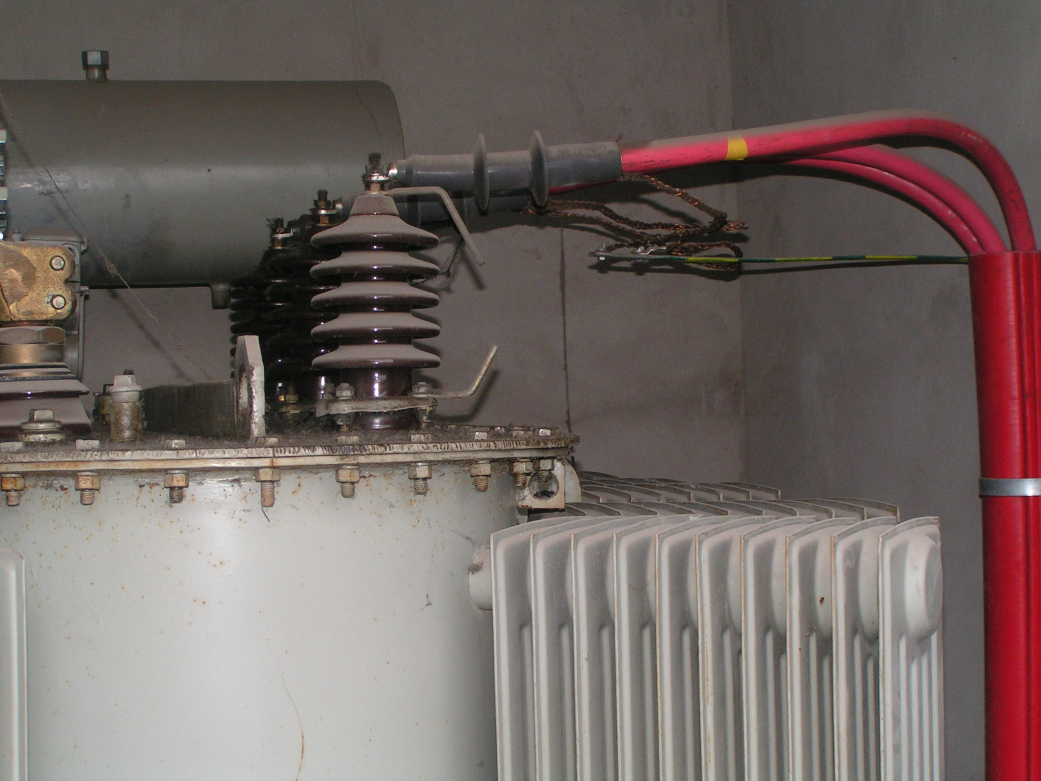 3 Rys.3.. Konglomerat zanieczyszczeń biologicznych i olejowych( 291) 3. Metoda pracy przy przeglądzie zewnętrznym instalacji elektroenergetycznych. 3.1. Czyszczono na sucho odkurzaczami do prac pod napięciem o poziomie izolacji 30 kv i podciśnieniu 23 kpa.