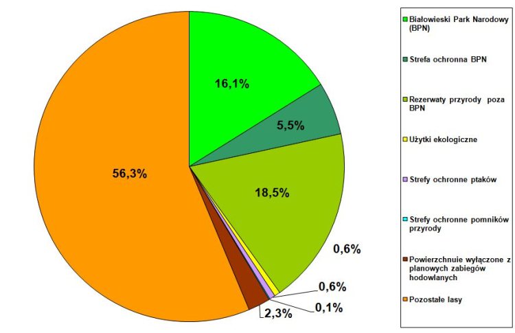 4. Ponad tysiąc pomników przyrody starych drzew często o ogromnych rozmiarach. 5. Użytki ekologiczne leżące na gruntach lasów państwowych o łącznej powierzchni około 200 ha.