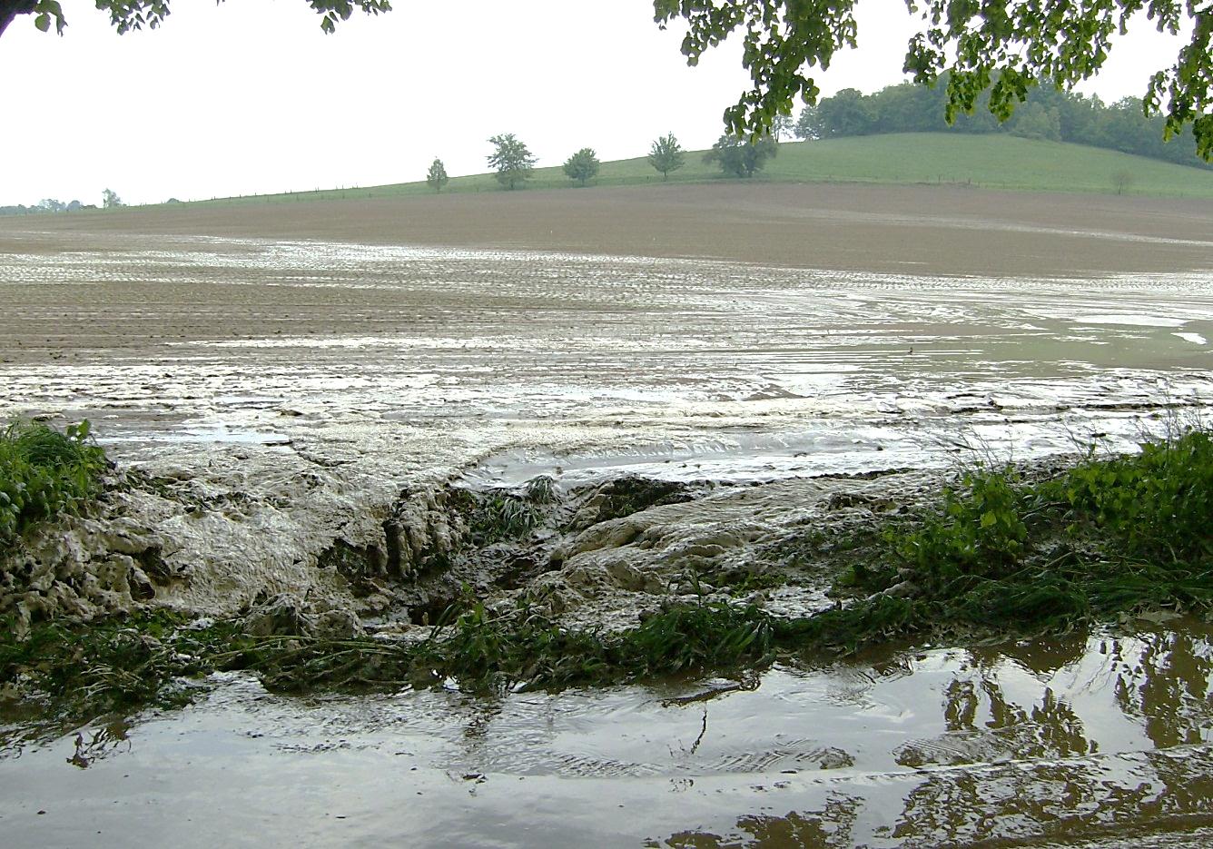Erozja gleby spowodowana silnymi opadami deszczu.