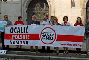 Fot. Agnieszka Łapińska Dopuszczenie upraw GMO w Polsce doprowadzi do szybkiego zanieczyszczenia tradycyjnych i ekologicznych upraw.