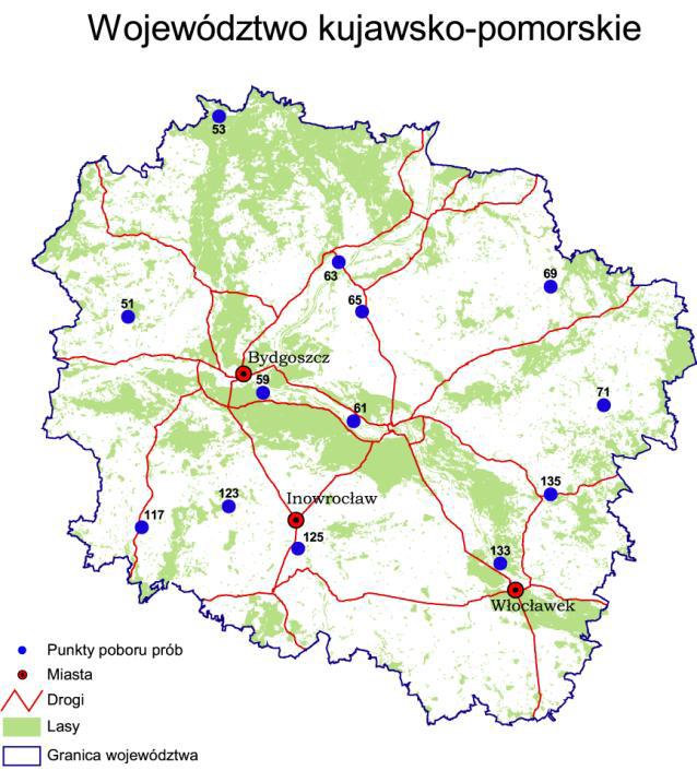 Rysunek 10.