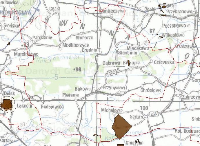 Rysunek 11. Złoża kruszywa naturalnego na terenie Gminy Dąbrowa Biskupia Źródło: Państwowy Instytut Geologiczny, Centralna Baza Danych Geologicznych, http://web3.pgi.gov.