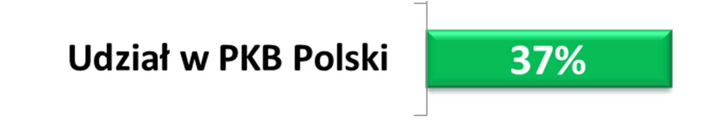 Mikro i małe firmy - kluczowe znaczenie dla polskiej gospodarki Udział mikro i małych firm w sektorze