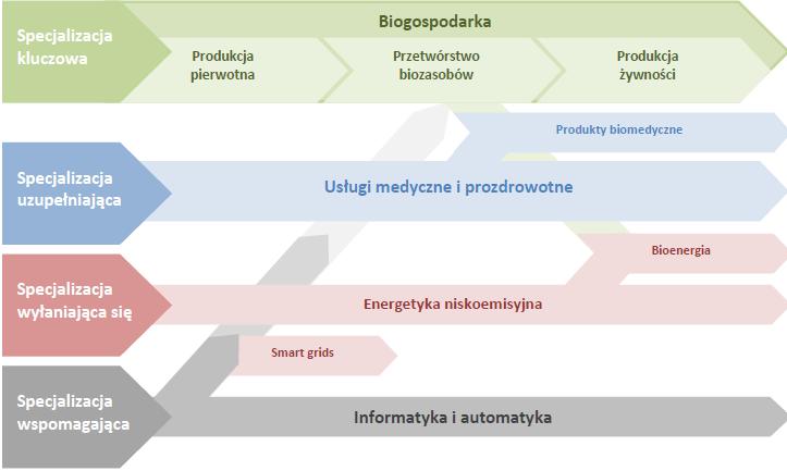 Projekt Regionalnej Strategii Innowacji - kontekst ochrony środowiska Biogospodarka specjalizacja kluczowa Energetyka niskoemisyjna specjalizacja wyłaniająca się