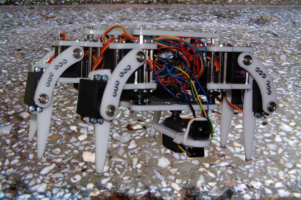 Rys. 1. Schemat kinematyczny robota typu Hexapod. Rys. 2. Adaptacyjne postury robota: sześcionoŝna i czteronoŝna. 3.