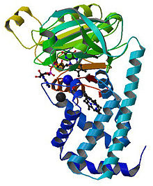 obrazowanie ramanowskie Rm ciałka lipidowe flawohemoglobina (nitric oxide dioxygenase) obraz