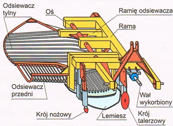 współpracującego ciągnika. Stalowe pręty przenośników osłonięte są elastycznymi otulinami zapobiegającymi nadmiernemu obijaniu bulw ziemniaków. Głębokość pracy regulowana jest kołami podporowymi.