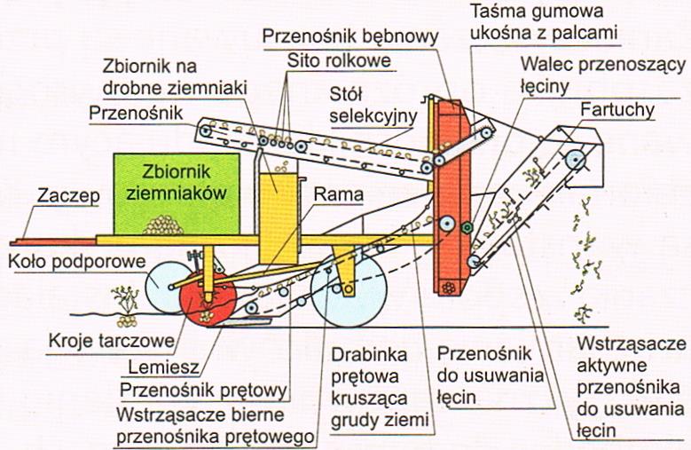 2. Zbiór do skrzyniopalet rozstawionych na polu, do których zbieracze opróżniają kosze.