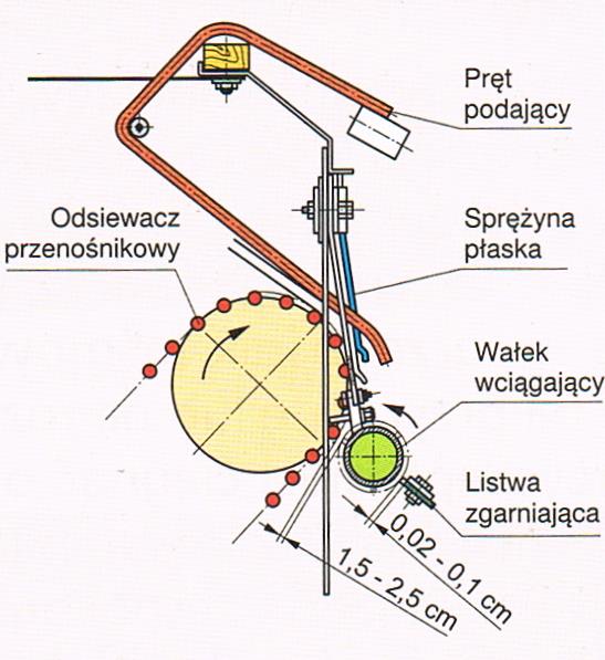 Zespół wyorujący posiada rolki wciągające, które powodują łatwe przejście gleby z bulwami, łęcinami i chwastami z lemiesza na przenośnik prętowy, zapobiegając zapychaniu się tego zespołu.