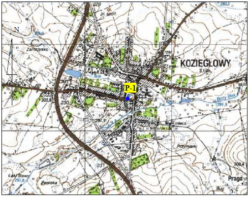Rys 3. Lokalizacja punktu pomiarowego na terenie miasta Koziegłowy.