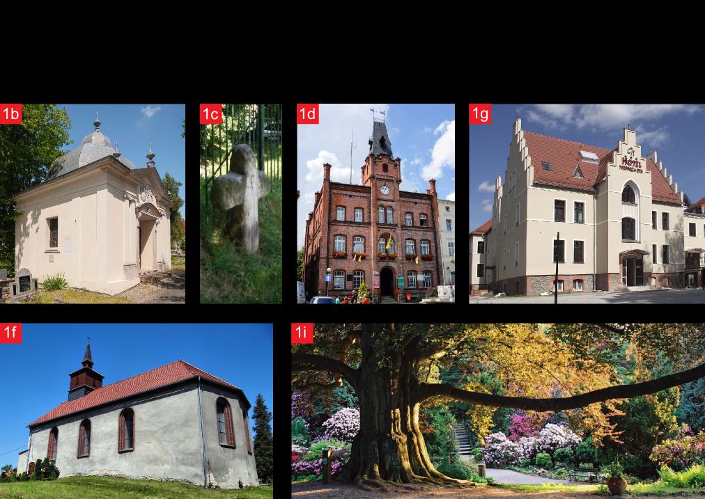 terytorialnego w zakresie planowania współpracy w ramach miejskich obszarów