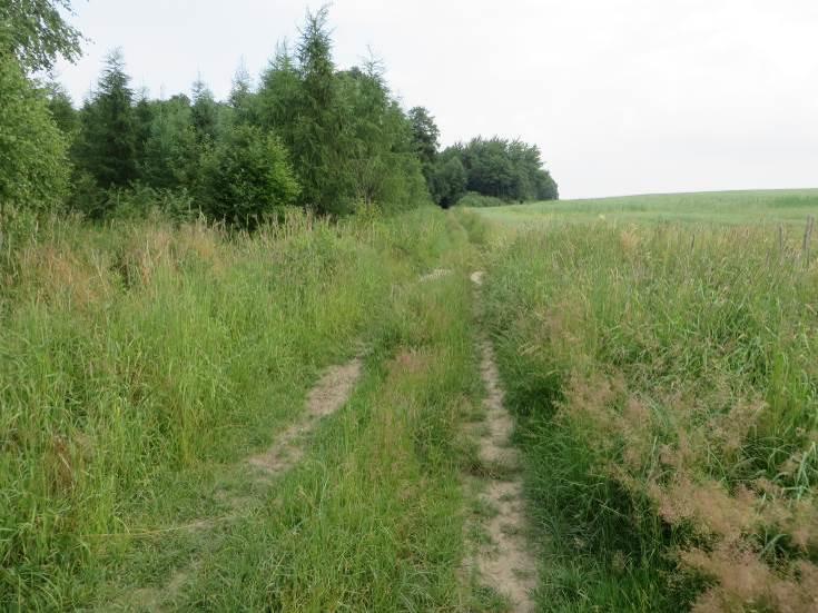 Powiat tarnowski, gmina Tarnów Istniejąca droga gruntowa. Docelowo przewidziana budowa nowej drogi rowerowej o nawierzchni bitumicznej, km ok.