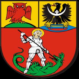 Programy Powiatu Dzierżoniowskiego w zakresie wykorzystania odnawialnych źródeł energii Program BIO ENERGIA Program Słoneczny Kolektorek (2004-2009) daje możliwość uzyskania dotacji do