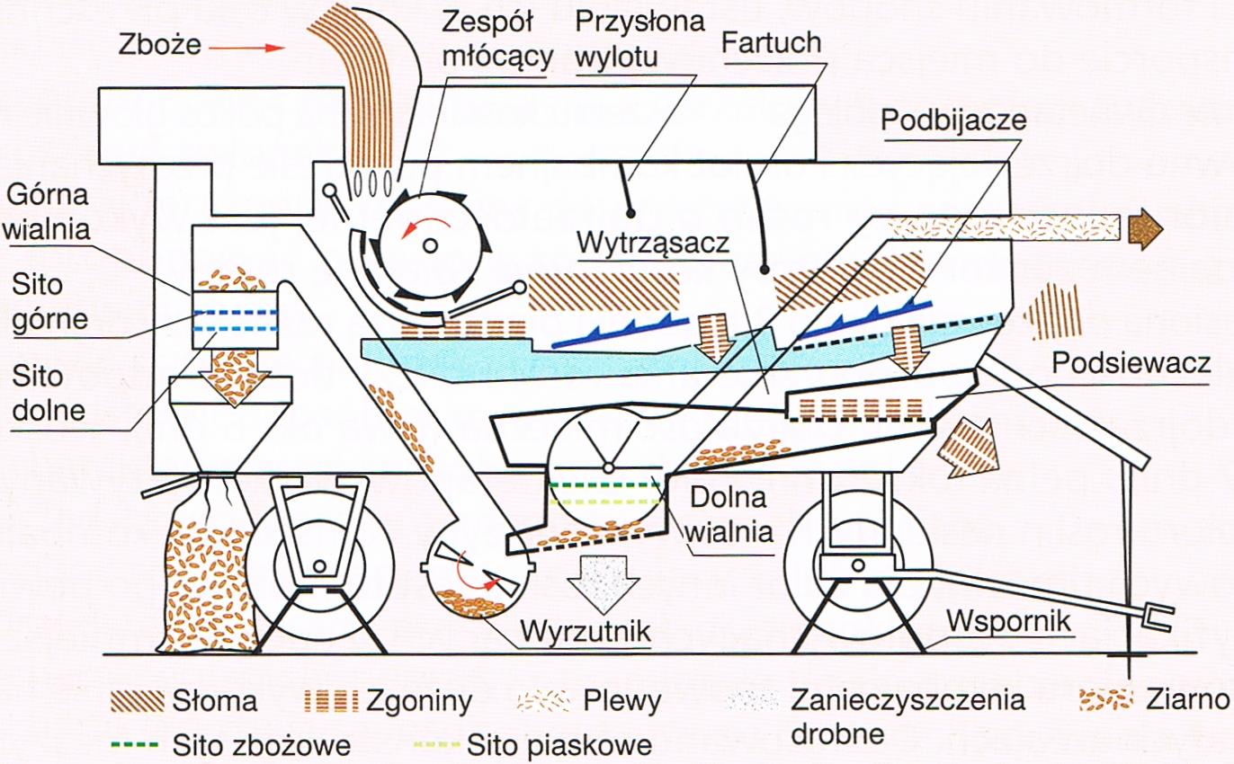 - workownik, który dodatkowo sortuje ziarno celne pod wpływem strumienia powietrza na 3 frakcje.