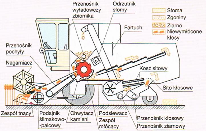 Zboże ścinane jest przez zespół tnący, transportowane do środka zespołu i podawane przenośnikiem pochyłym do zespołu młócącego.