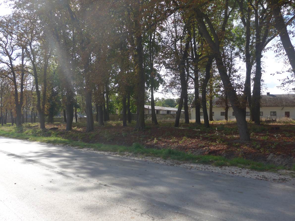 gorzelnia, nr rej.: 796 z 08.02.1958 park, decyzja WUOZ Ki 4401/880, 1029/08 z dnia 2008.04.03 Istnieje potrzeba modernizacji i konserwacji zabytku oraz modernizacji parku.