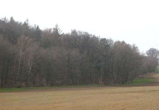 do zalesień to odłogowanie i zagrożenie erozyjne gruntów, położenie w bezpośrednim sąsiedztwie lasów i na wododziałach oraz wzdłuż cieków wodnych (poza dolnymi ich odcinkami).