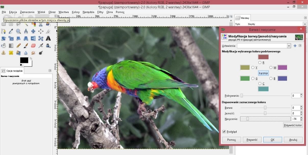 zmodyfikować nasycenie kolorów tła, wywołując w menu Kolory polecenie Barwa i nasycenie i przesuwając suwakiem regulującym Nasycenie tak, aby w znaczący sposób zmniejszyć nasycenie kolorów tła w