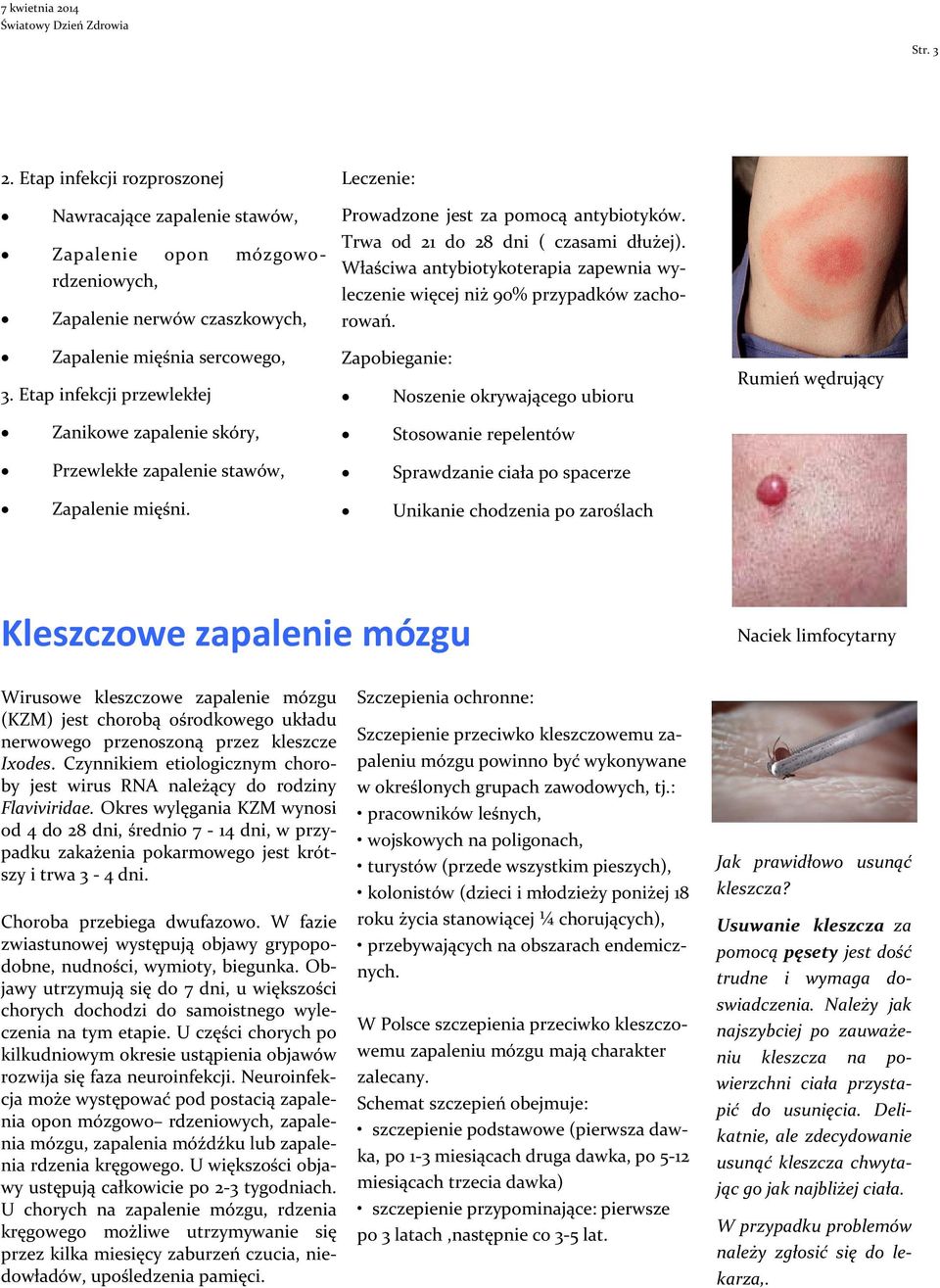 Właściwa antybiotykoterapia zapewnia wyleczenie więcej niż 90% przypadków zachorowań.