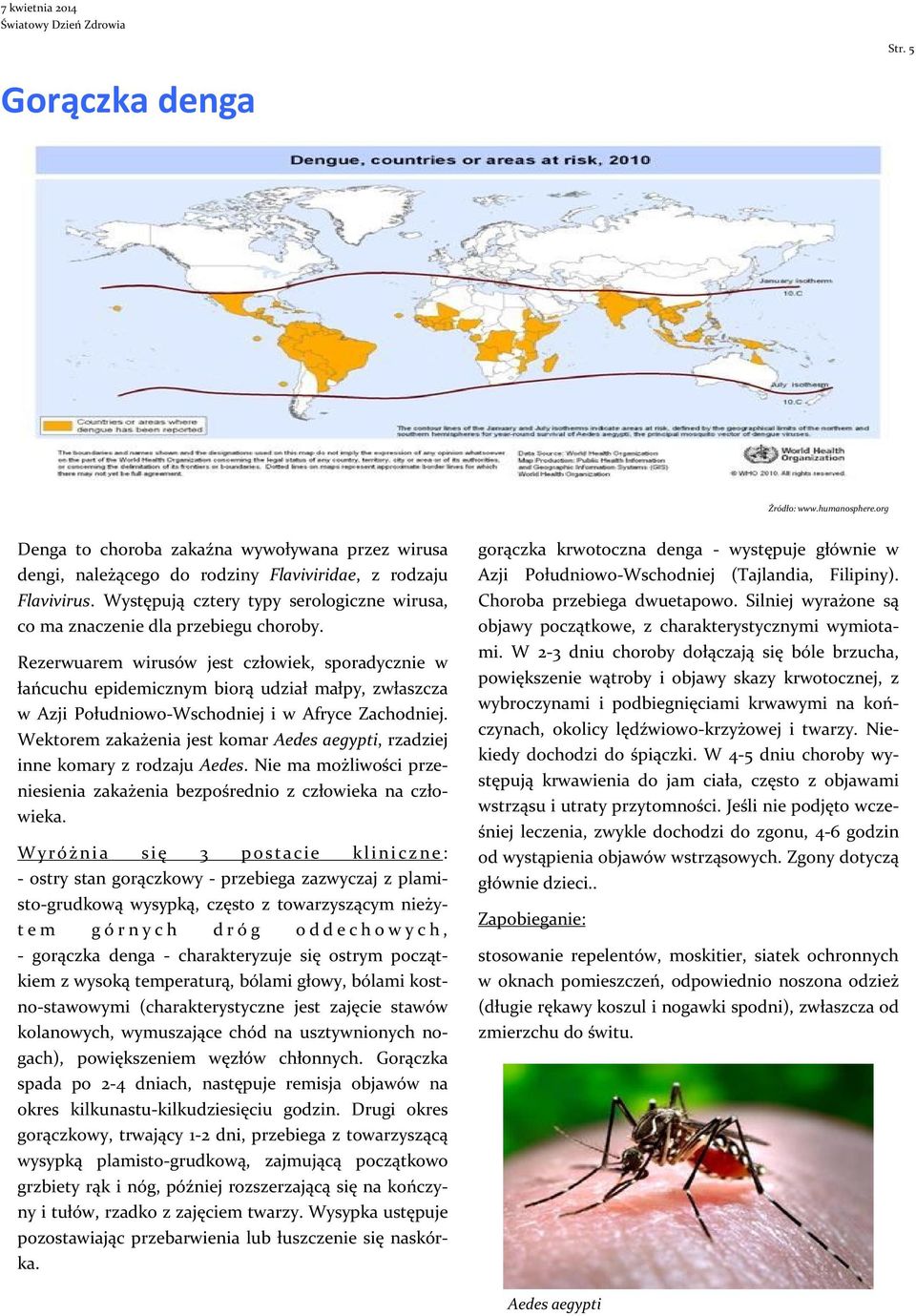 Rezerwuarem wirusów jest człowiek, sporadycznie w łańcuchu epidemicznym biorą udział małpy, zwłaszcza w Azji Południowo-Wschodniej i w Afryce Zachodniej.