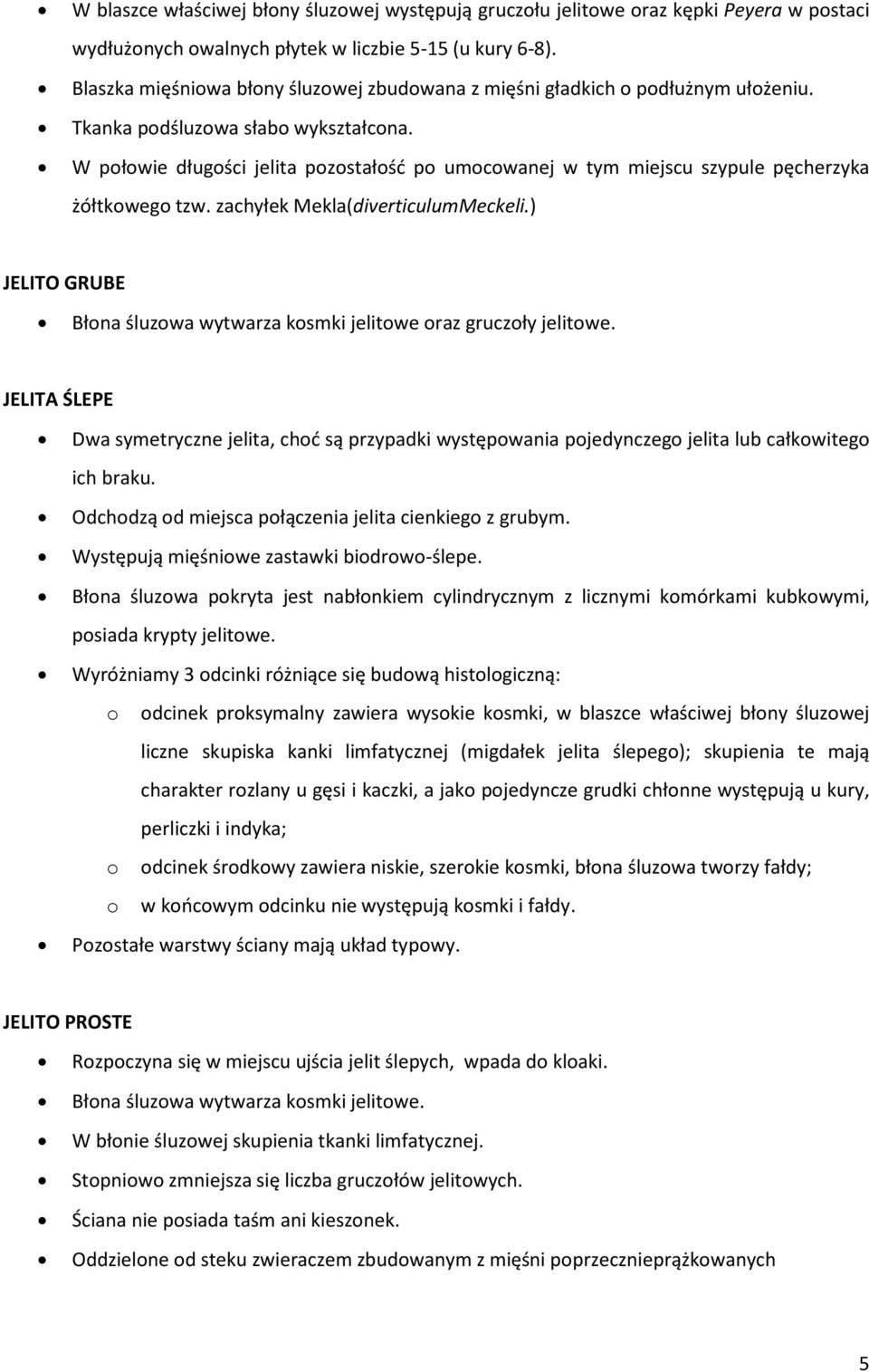 W połowie długości jelita pozostałość po umocowanej w tym miejscu szypule pęcherzyka żółtkowego tzw. zachyłek Mekla(diverticulumMeckeli.