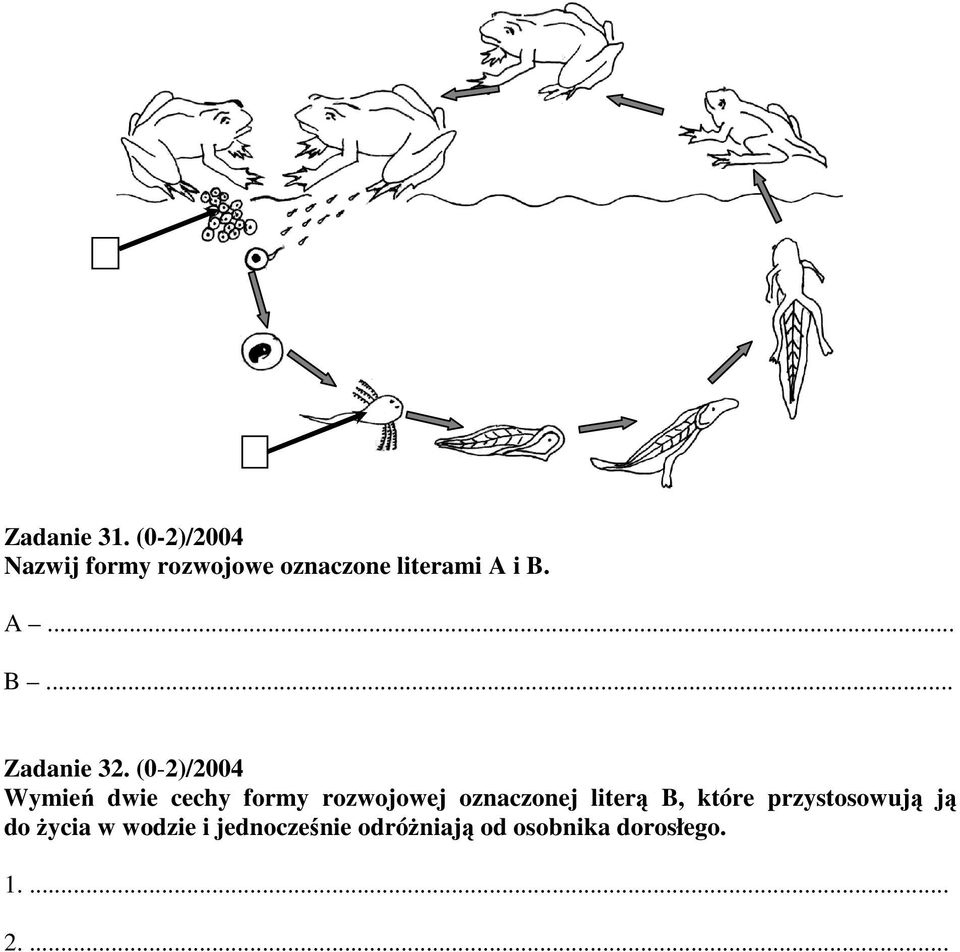 A... B... Zadanie 32.