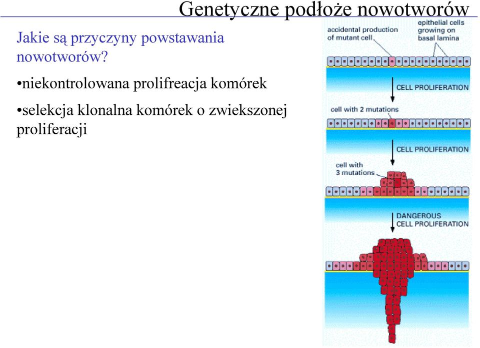 niekontrolowana prolifreacja komórek