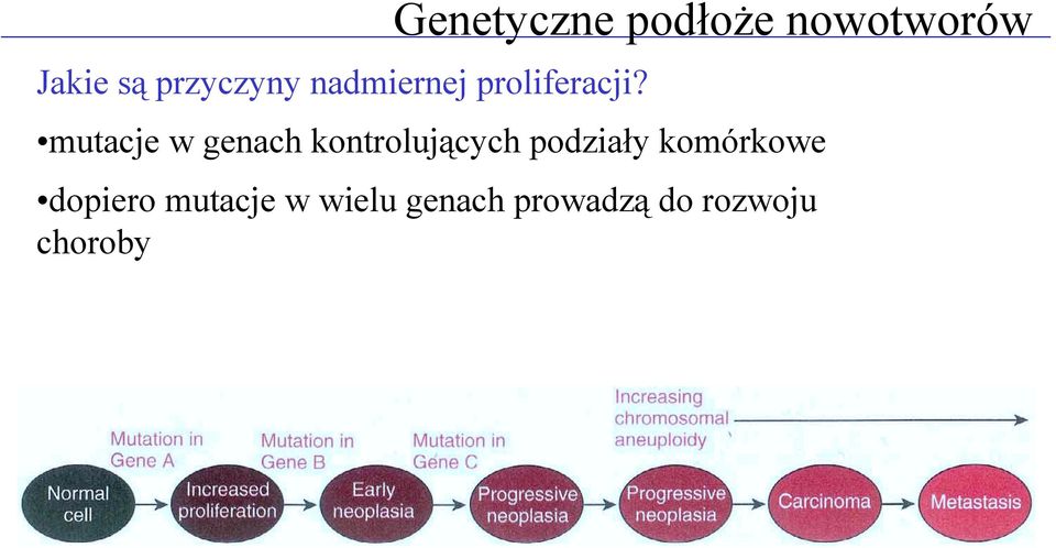 genach kontrolujących podziały komórkowe