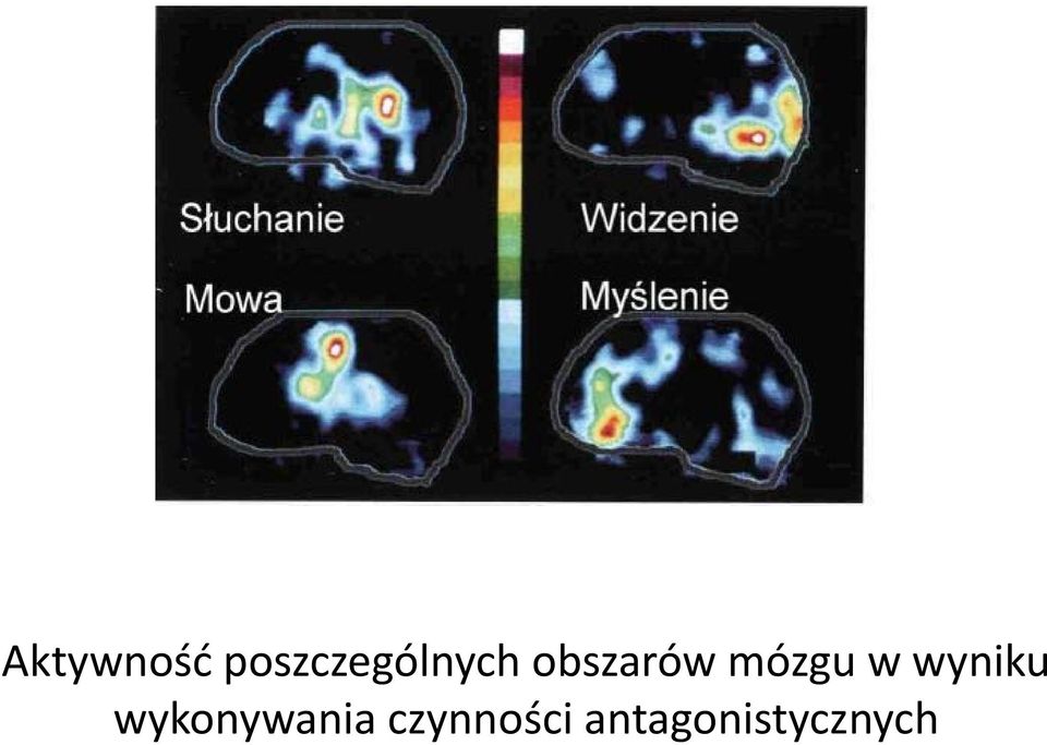 wykonywania czynności