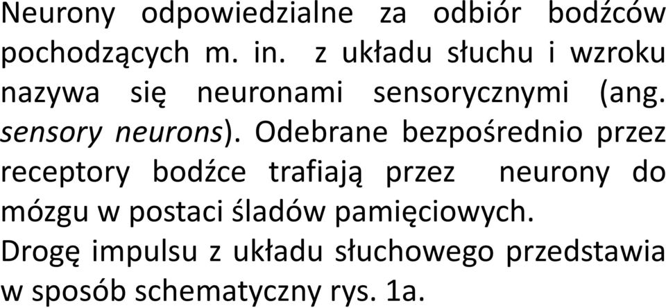 Odebrane bezpośrednio przez receptory bodźce trafiają przez neurony do mózgu w