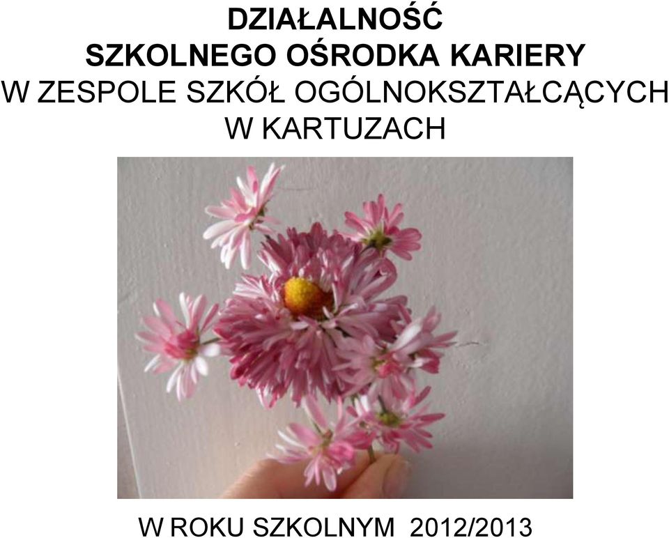 SZKÓŁ OGÓLNOKSZTAŁCĄCYCH W