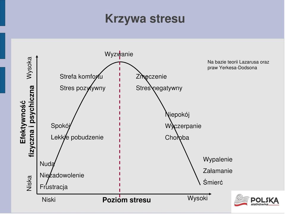 pobudzenie Wyzwanie Poziom stresu Zmęczenie Stres negatywny Niepokój