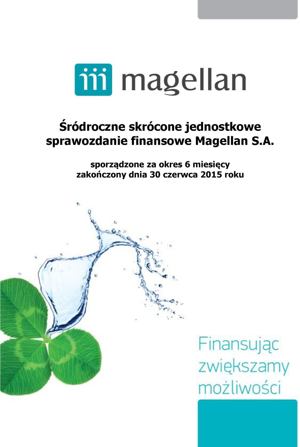 sprawozdanie