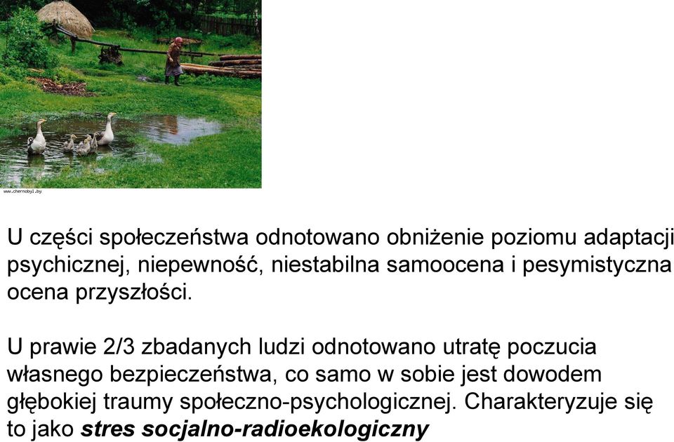 U prawie 2/3 zbadanych ludzi odnotowano utratę poczucia własnego bezpieczeństwa, co samo