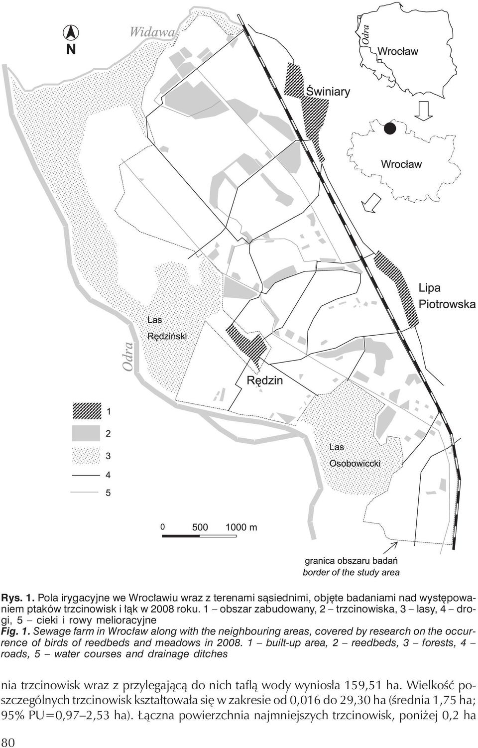 Sewage farm in Wrocław along with the neighbouring areas, covered by research on the occurrence of birds of reedbeds and meadows in 2008.