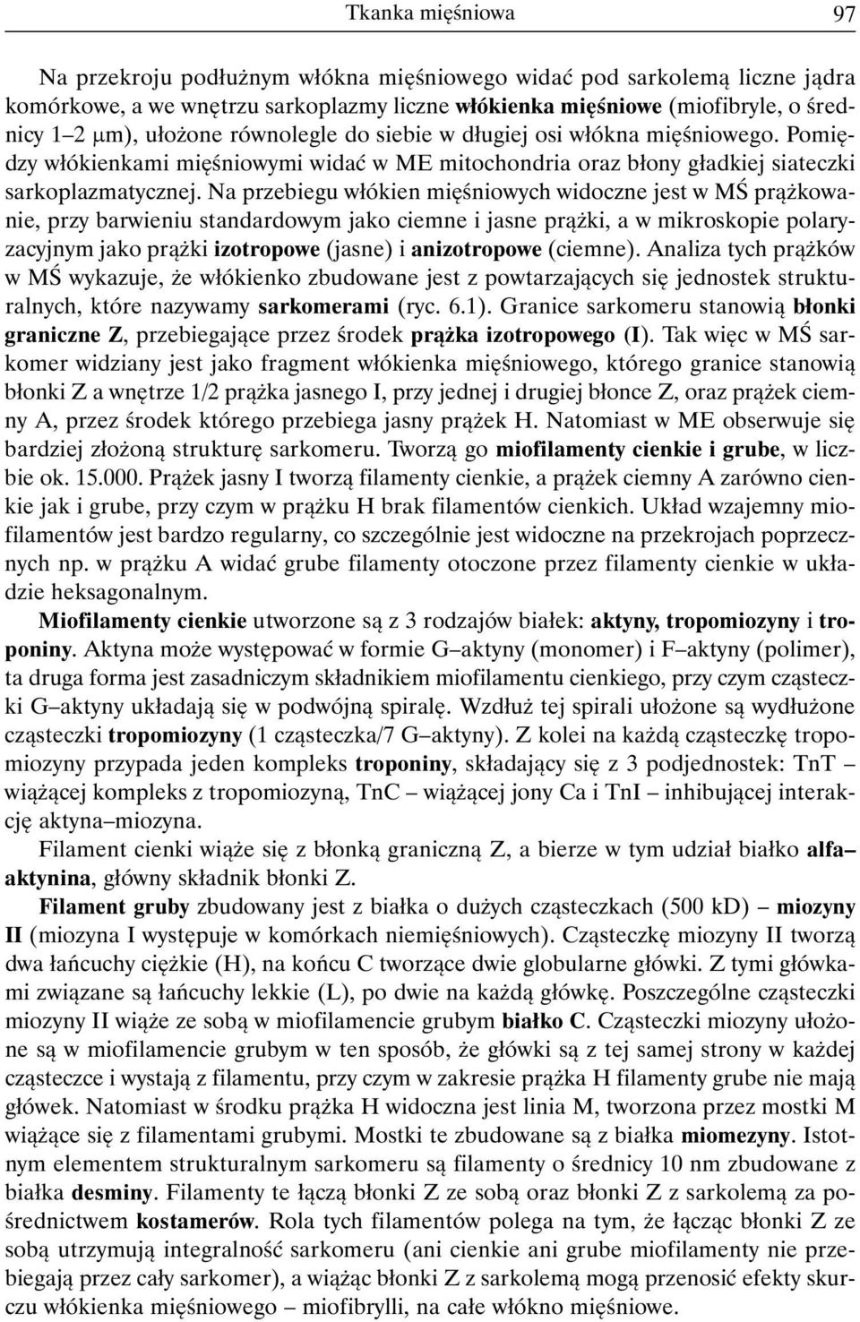 Na przebiegu włókien mięśniowych widoczne jest w MŚ prążkowanie, przy barwieniu standardowym jako ciemne i jasne prążki, a w mikroskopie polaryzacyjnym jako prążki izotropowe (jasne) i anizotropowe