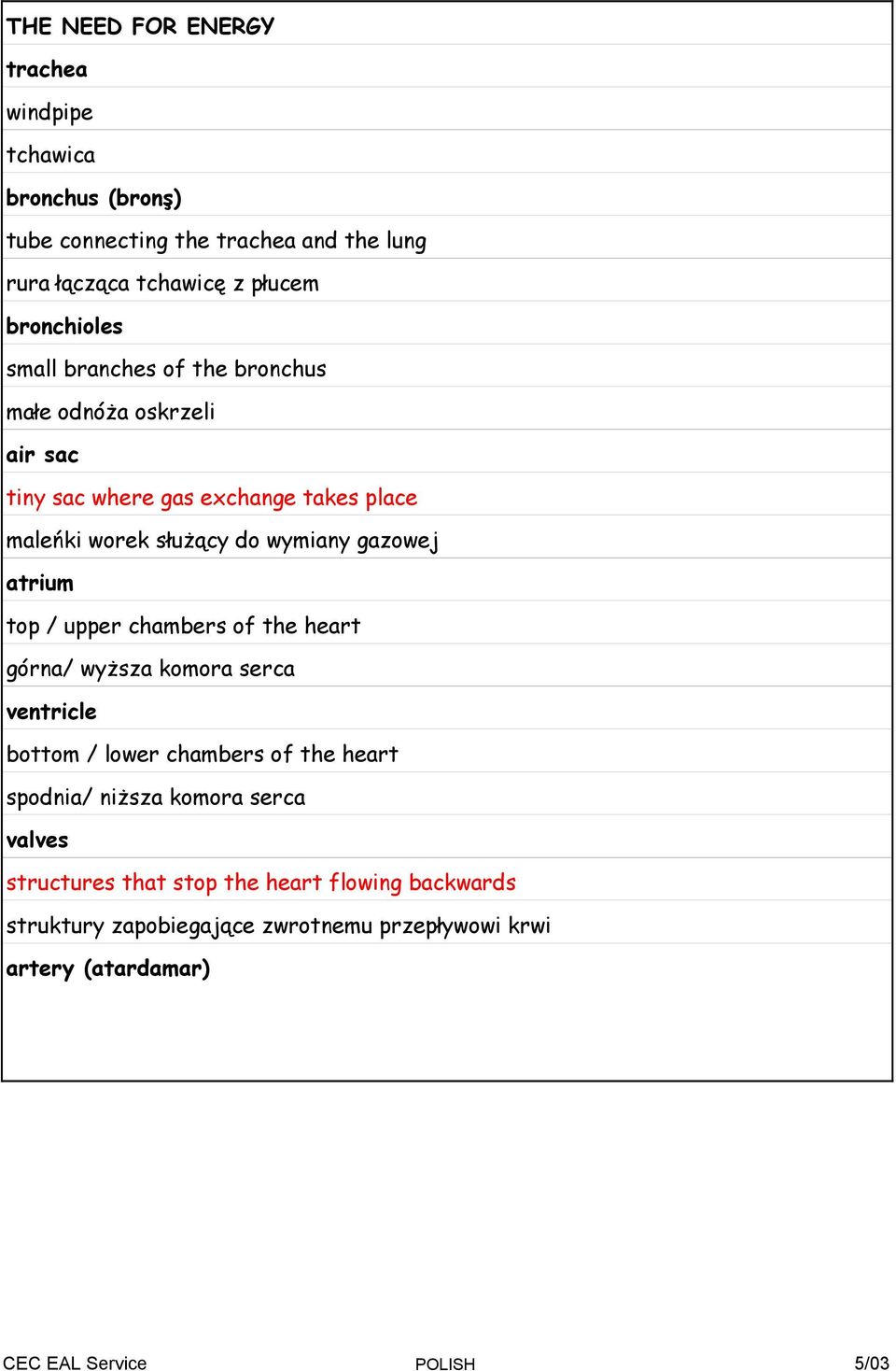 wymiany gazowej atrium top / upper chambers of the heart górna/ wyŝsza komora serca ventricle bottom / lower chambers of the heart spodnia/