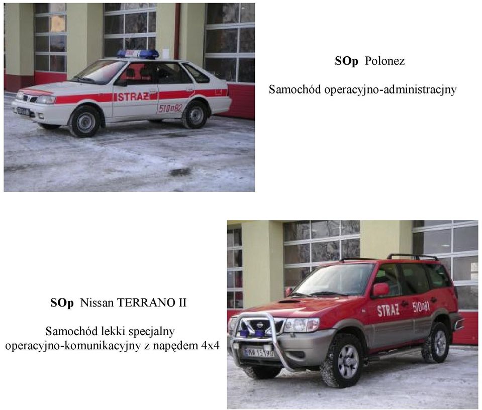 Nissan TERRANO II Samochód lekki