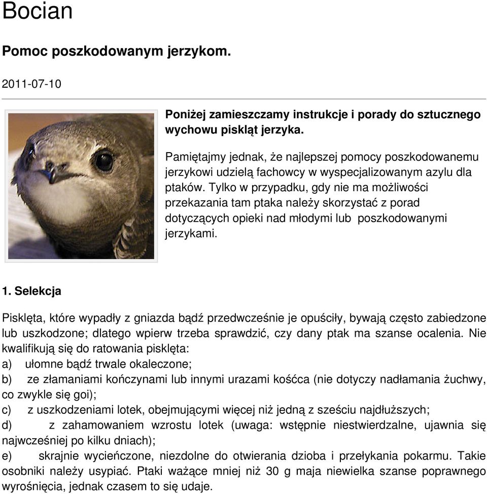 Tylko w przypadku, gdy nie ma możliwości przekazania tam ptaka należy skorzystać z porad dotyczących opieki nad młodymi lub poszkodowanymi jerzykami. 1.