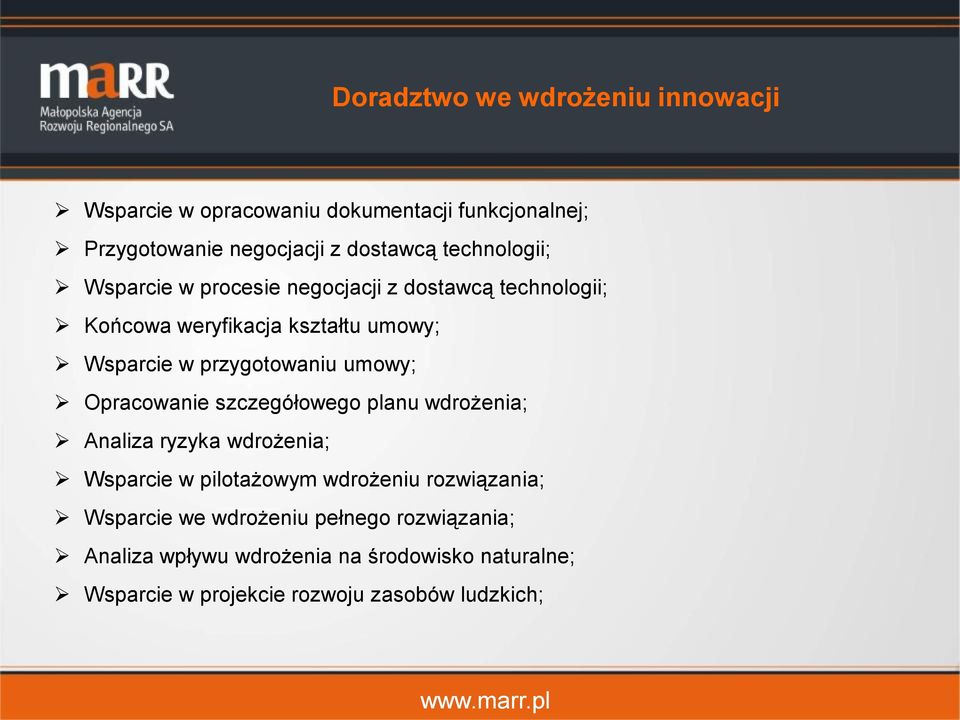 przygotowaniu umowy; Opracowanie szczegółowego planu wdrożenia; Analiza ryzyka wdrożenia; Wsparcie w pilotażowym wdrożeniu