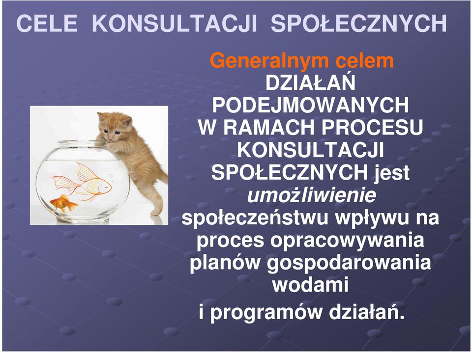 jest umoŝliwienie społeczeństwu wpływu na proces